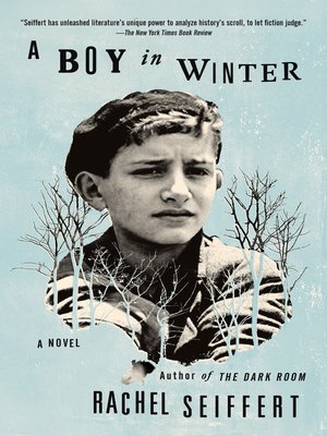 cover image of A Boy in Winter